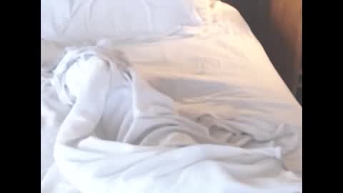 st8llion online show from March 2026 08:00:01 AM