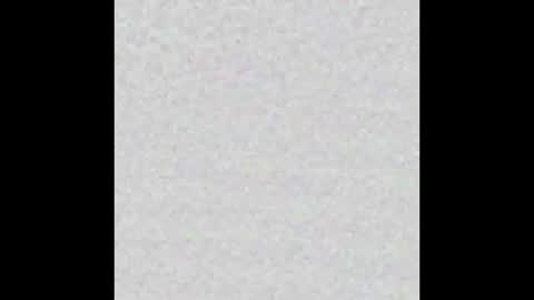 Stacy online show from January 2026 12:09:02 PM