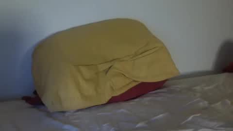 stan_hung online show from December 2024 06:50:01 PM