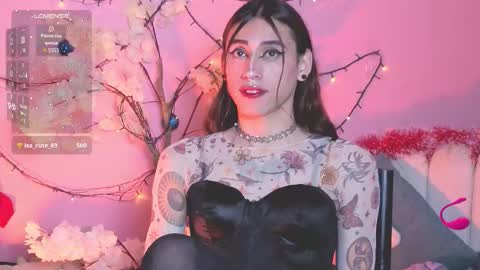  estrellita online show from December 2025 02:02:02 PM