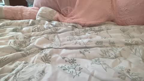 Stassiethatsororitygirl online show from February 2025 08:53:02 PM