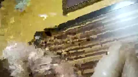 stchelly627 online show from March 2026 06:28:01 AM