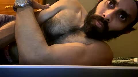 Lobo del Antiguo Oriente online show from April 2026 01:52:02 AM