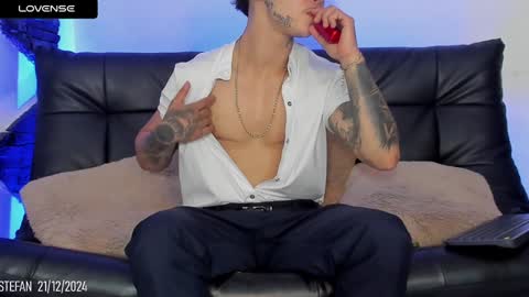 Snapshot of stefan_wonder_ chatting on December 2024 08:32:01 PM Wonder online show from December 2024 08:32:01 PM