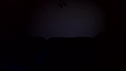 stefy1037 online show from February 2025 06:55:01 AM