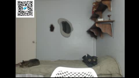 Stella online show from April 2026 08:39:01 PM