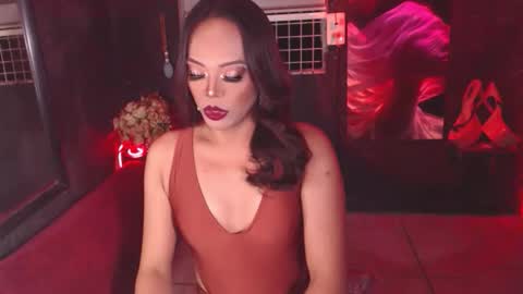 stella online show from February 2026 01:52:01 PM