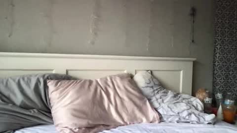 Snapshot of stelladams chatting on March 2026 09:43:02 PM stelladams online show from March 2026 09:43:02 PM