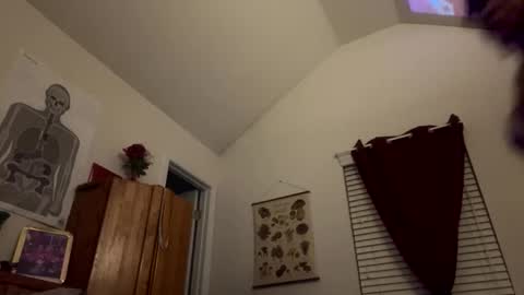 Snapshot of stellakobra chatting on November 2025 08:11:02 AM stellakobra online show from November 2025 08:11:02 AM