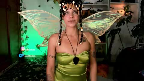 stellart_ online show from November 2025 04:58:02 AM