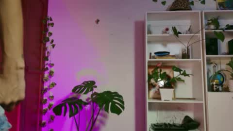 stellart_ online show from November 2025 03:50:01 AM