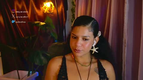 stellart_ online show from July 2026 02:48:02 AM