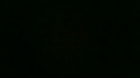 Snapshot of stensurfarn chatting on December 2025 12:43:02 PM stensurfarn online show from December 2025 12:43:02 PM