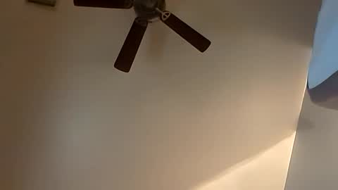 sterng123 online show from October 2025 03:51:02 AM