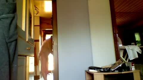 stevefromfrance online show from July 2026 08:50:01 AM