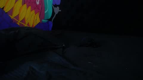 StickXCandy online show from January 2025 04:34:02 PM