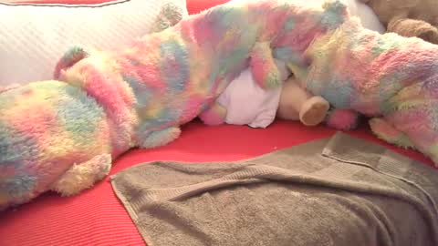 stickyjoe26 online show from January 2025 11:32:01 PM