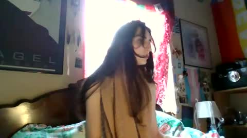 stonedtranny69 online show from December 2024 06:08:01 PM