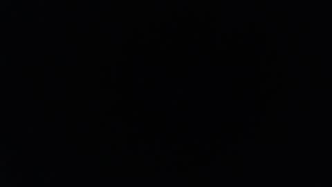 stonenipple online show from December 2025 07:56:02 PM