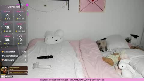 Snapshot of str4wb3rrycat chatting on November 2025 11:15:01 PM kat online show from November 2025 11:15:01 PM