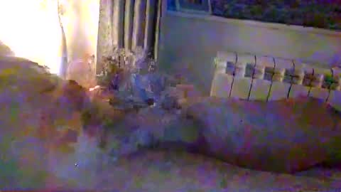 str8guy2015 online show from January 2025 04:28:01 PM