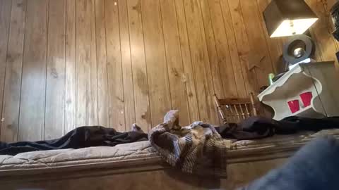 straighttoy online show from November 2025 03:24:01 PM