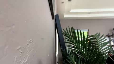 Ruby Moon online show from December 2024 05:59:01 PM