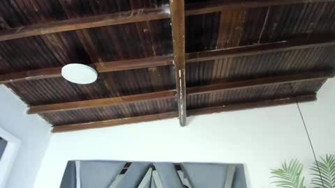 Alexa   online show from April 2026 10:59:01 AM