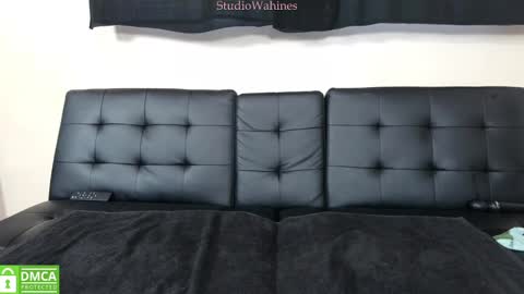 Snapshot of studiowahines chatting on January 2025 10:11:02 PM StudioWahines online show from January 2025 10:11:02 PM