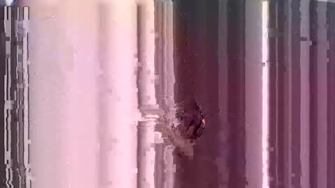 Snapshot of submissive_kory chatting on December 2024 10:28:02 AM ControlMeViaTeamviewer online show from December 2024 10:28:02 AM