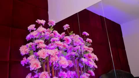 Sugar online show from September 2025 05:11:02 AM