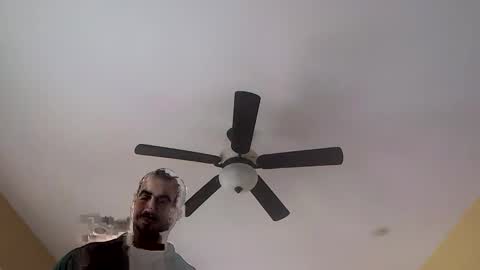 Sugar online show from February 2026 01:53:02 PM