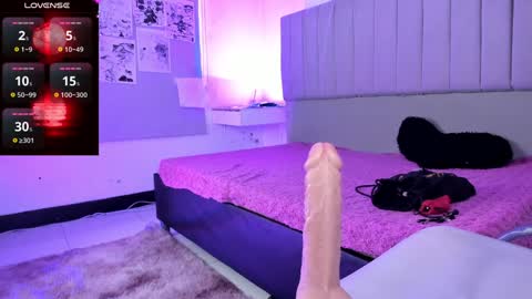    online show from December 2024 03:54:02 PM