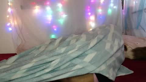 zuley online show from March 2026 02:17:02 AM