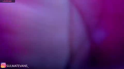 Snapshot of sulmatevans_ chatting on July 2026 09:26:01 AM Diana online show from July 2026 09:26:01 AM