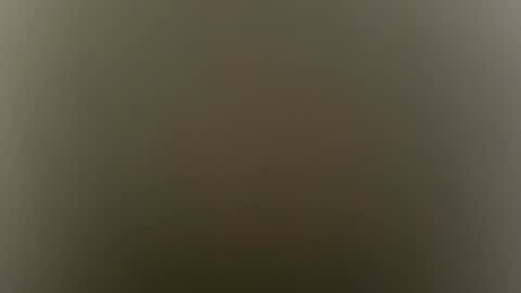 Snapshot of sulyrouse chatting on February 2026 05:02:01 AM suly online show from February 2026 05:02:01 AM