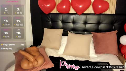 Summer online show from February 2025 04:59:02 PM