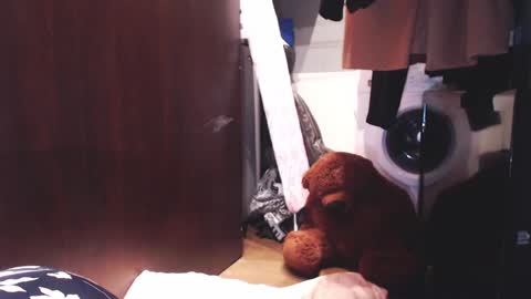 Hella online show from December 2024 07:10:01 AM