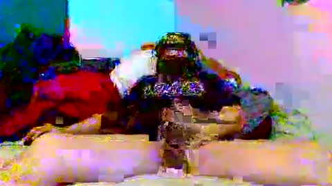 supermanloverhg online show from January 2025 11:52:01 AM