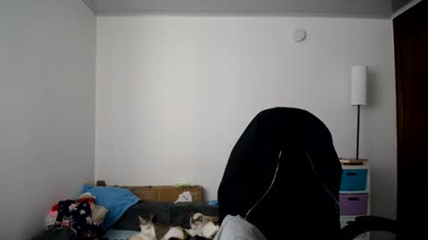 Snapshot of susanaduncann chatting on July 2026 03:18:02 PM Susana online show from July 2026 03:18:02 PM