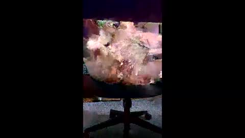 svald0 online show from June 2026 12:44:02 PM