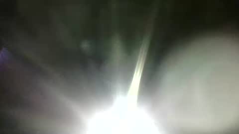 swampdonkey419 online show from March 2026 06:03:01 AM