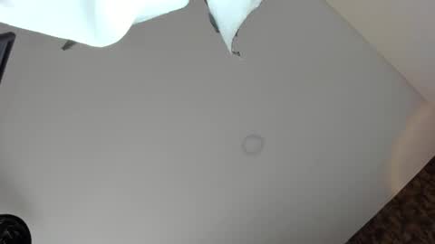 Vanessa online show from April 2026 09:01:01 PM