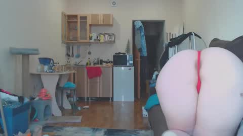 TexasPAWG101 online show from February 2026 02:10:01 AM