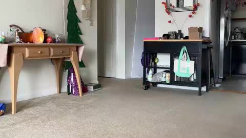 Heidi Brenner - Please check bio for schedule  FAQ online show from December 2025 02:33:01 PM