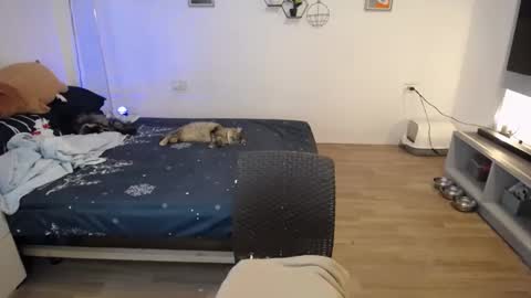 angel 3 online show from January 2025 04:48:01 PM