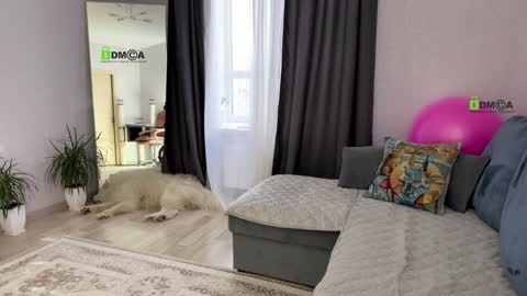 Vicktorious online show from January 2025 12:42:01 PM