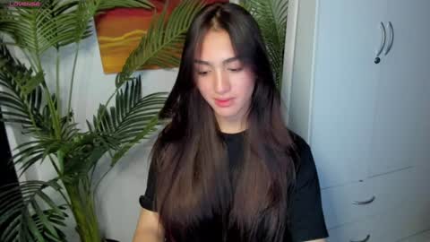 mallow online show from December 2024 03:13:02 PM