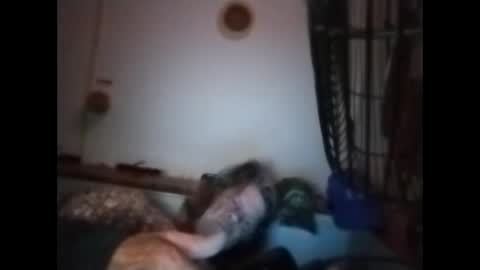 sweetsugar64 online show from March 2026 06:17:01 AM