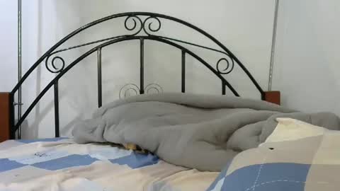 Snapshot of sweetvalariy chatting on January 2025 11:59:01 AM sweetvalariy online show from January 2025 11:59:01 AM